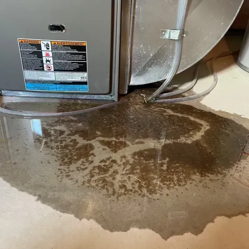 Appliance Leak Cleanup in Mount Pulaski, IL